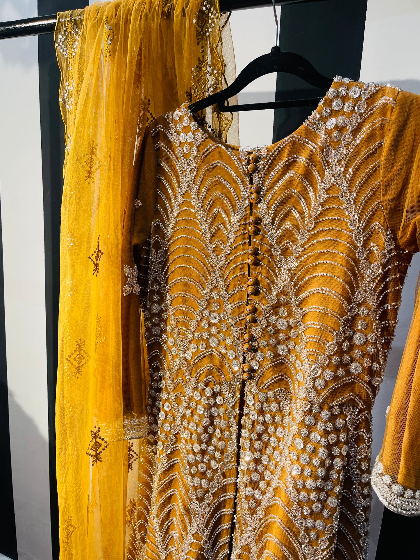 Amber Radiance Ensemble