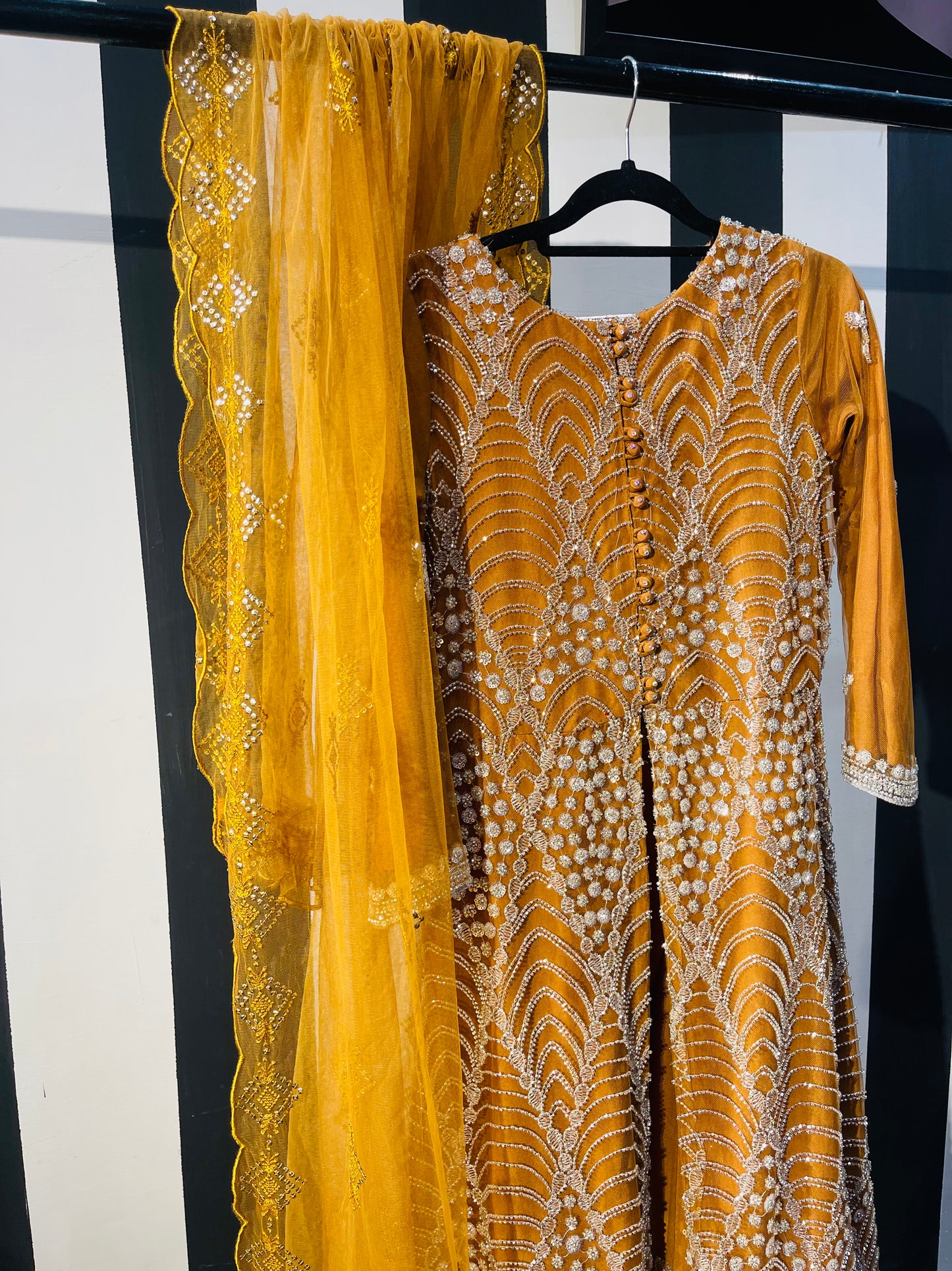 Amber Radiance Ensemble