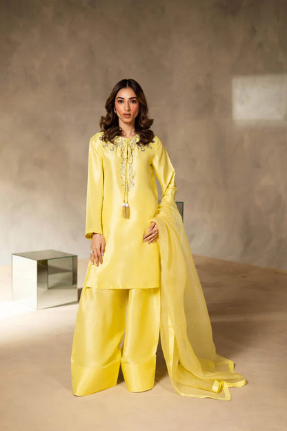 Yellow Embroidered Satin Dress