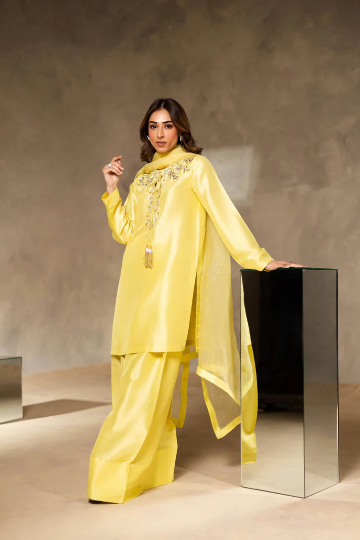Yellow Embroidered Satin Dress